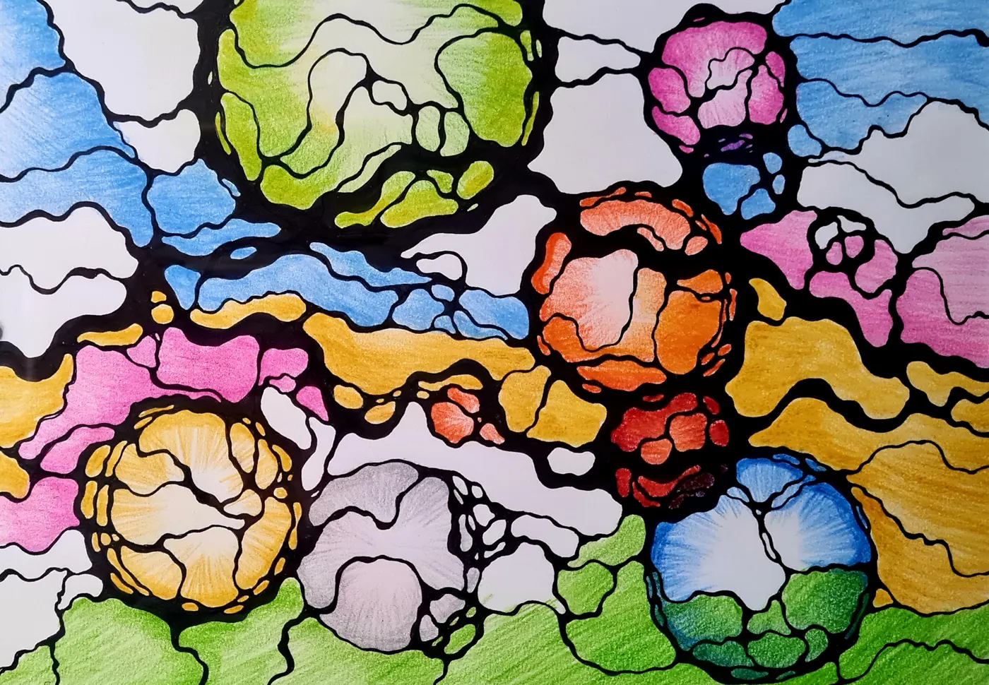Rysunek neurograficzny z kolorowymi polami